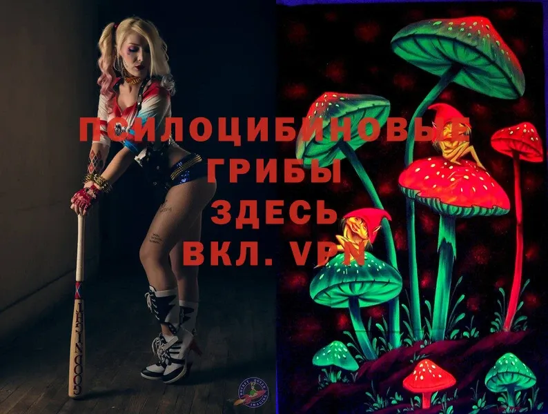 цены   Инза  Галлюциногенные грибы MAGIC MUSHROOMS 